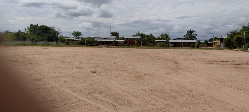 Proyectos 1. limpieza de terreno